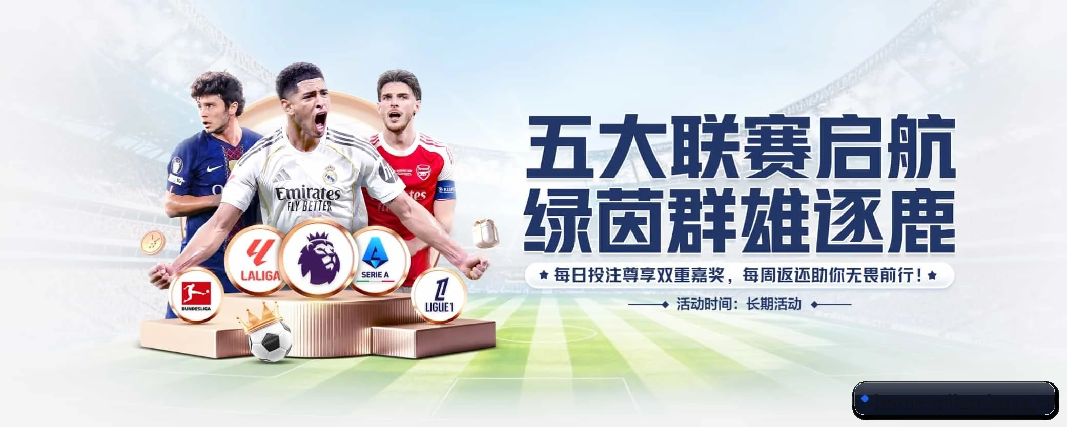 五大热门运动版块覆盖,比分与直播一站式兼顾 - 多运动项目内容板块